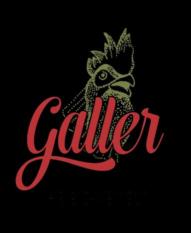 Weingut Ansgar Galler