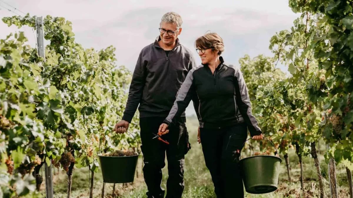 Weingut Ansgar Galler Profil